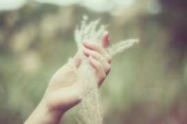 挽回情感项目的流程:从破碎到重建的理性之路 挽回情感项目的流程:从破碎到重建的理性之路